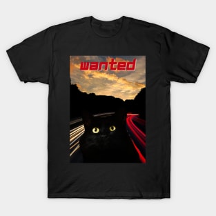 Wanted black cat T-Shirt